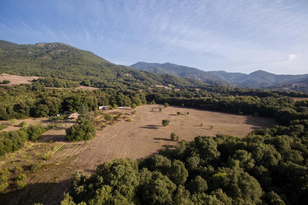 Domaine Finili Cauro Exterior foto