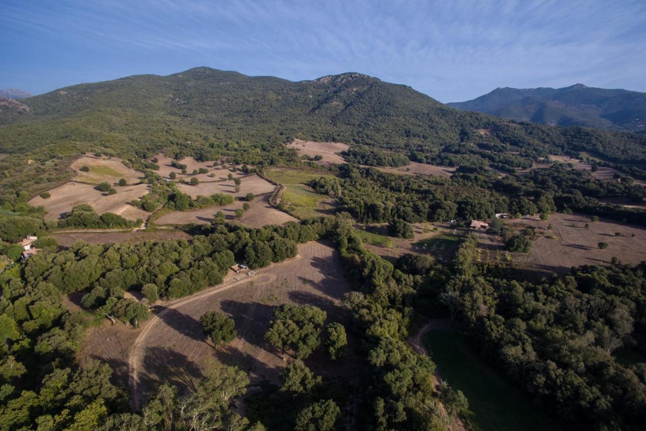 Domaine Finili Cauro Exterior foto