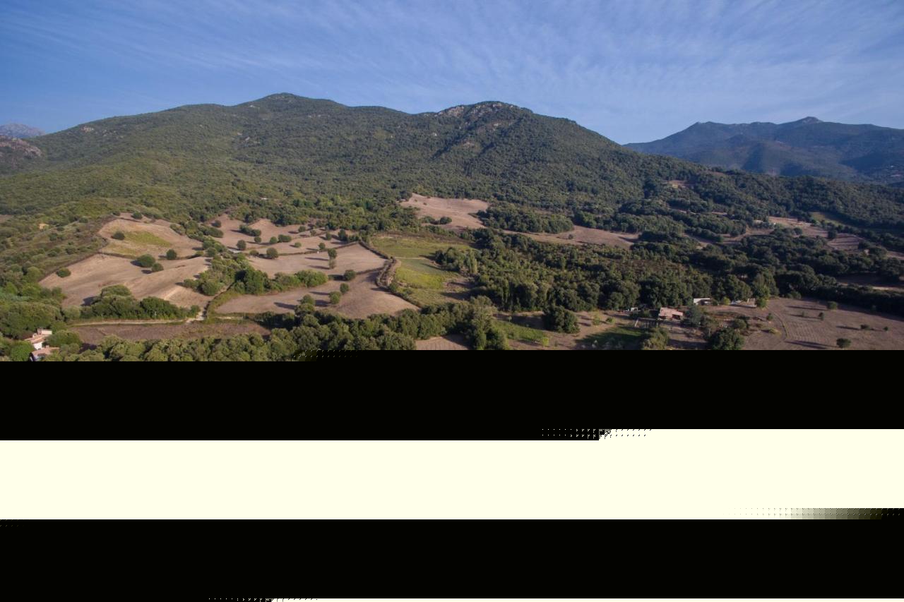 Domaine Finili Cauro Exterior foto